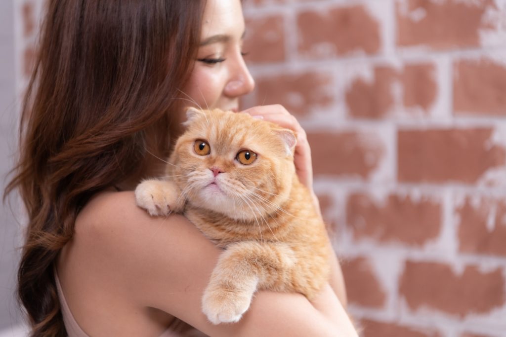 chats réticents dans les bras