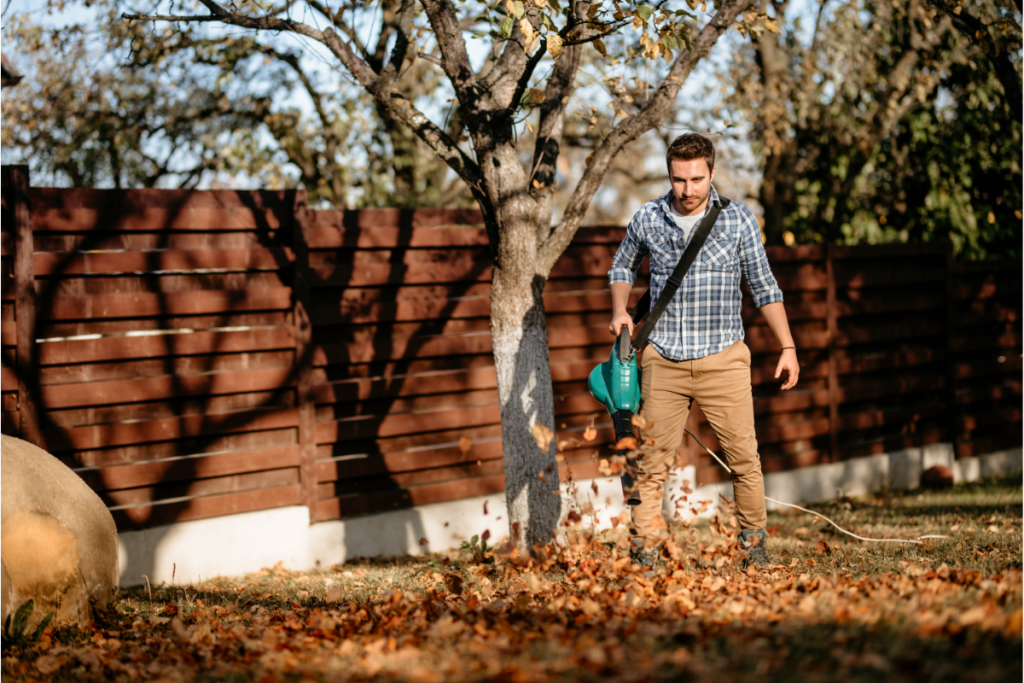 Nettoyez les débris autour de l'arbre