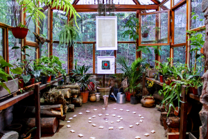 Serre remplie de plantes vertes.