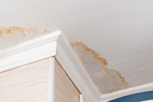 plafond