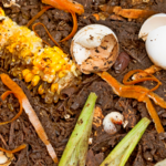 compost