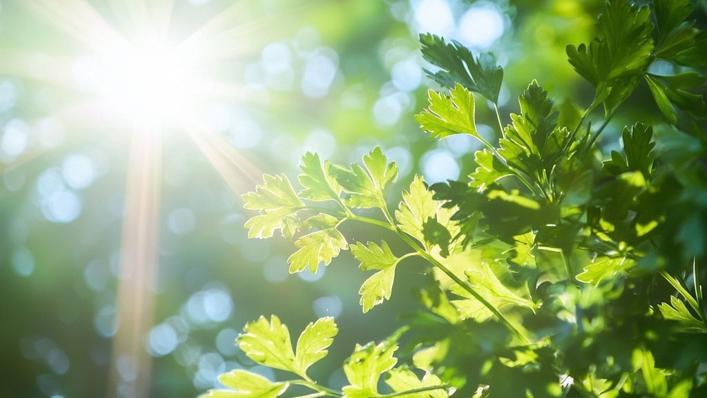 Les erreurs à éviter pour une culture réussie