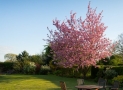 5 idées pour bien aménager son jardin !